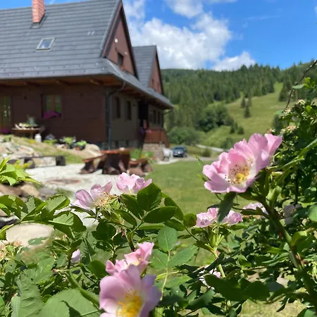 Lodge Dolina V Bachledke *